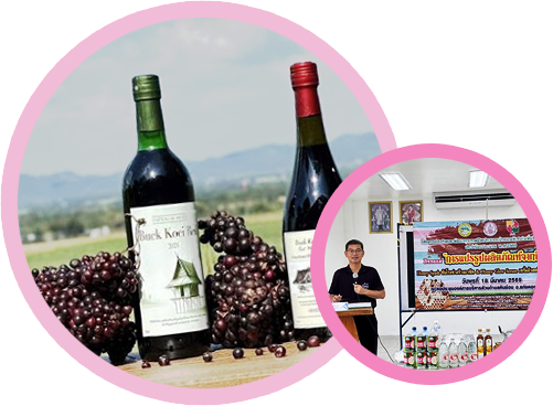 องค์การบริหารส่วนตำบลหินซ้อน